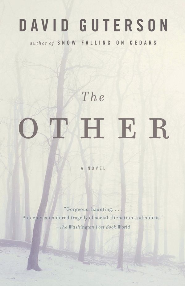 The Other Book Cover