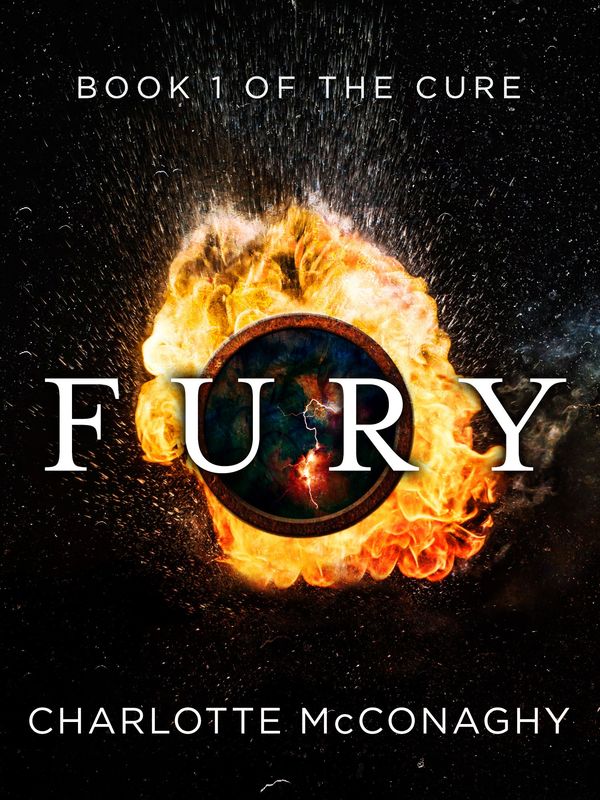 Fury Book Cover