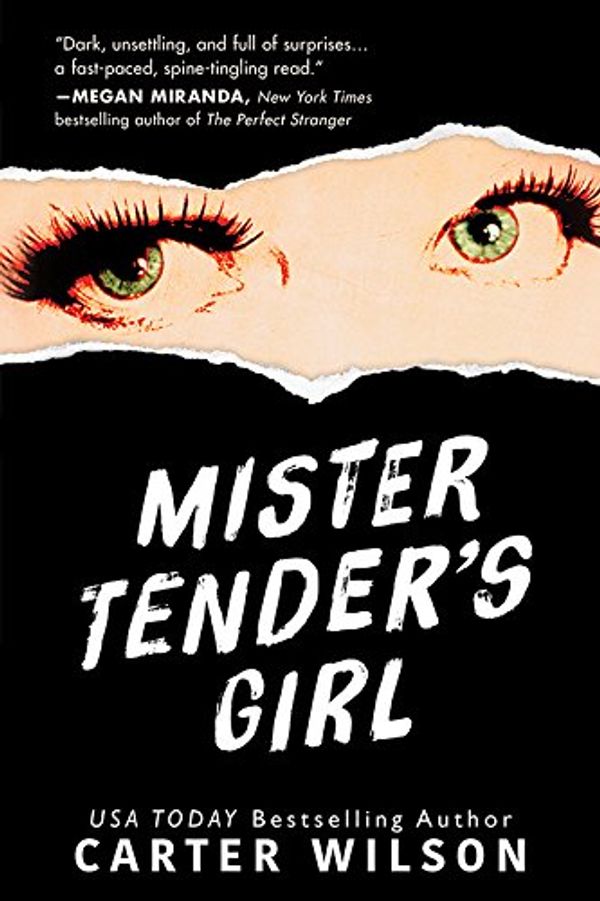 Mister Tender's Girl Book Cover
