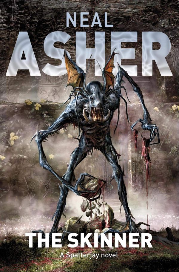 The Skinner Book Cover