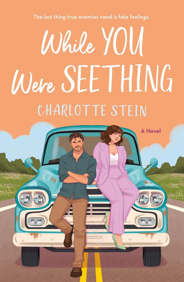 While You Were Seething Book Cover