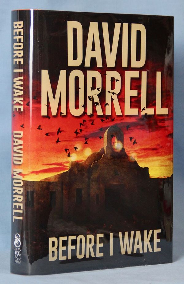 Before I Wake Book Cover