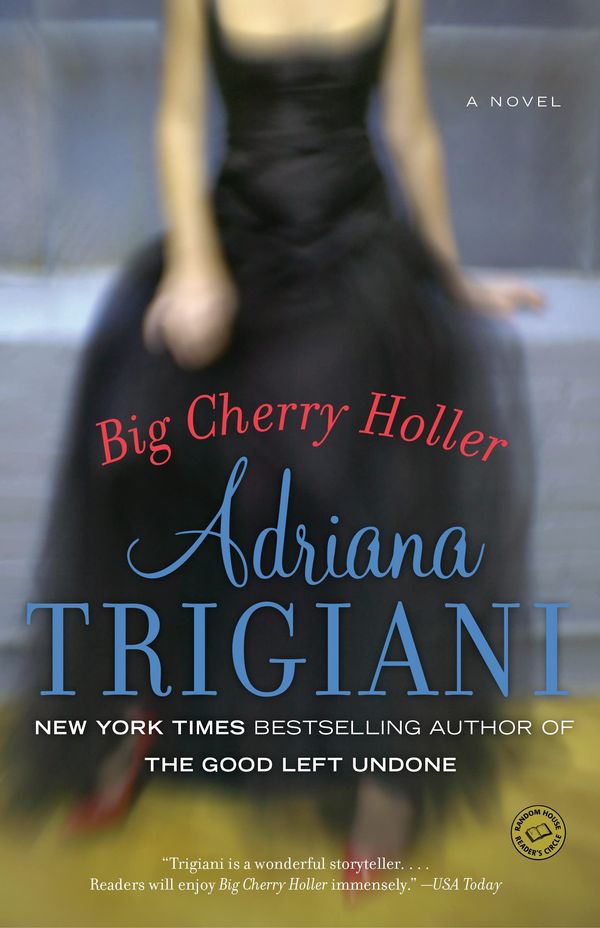 Big Cherry Holler Book Cover