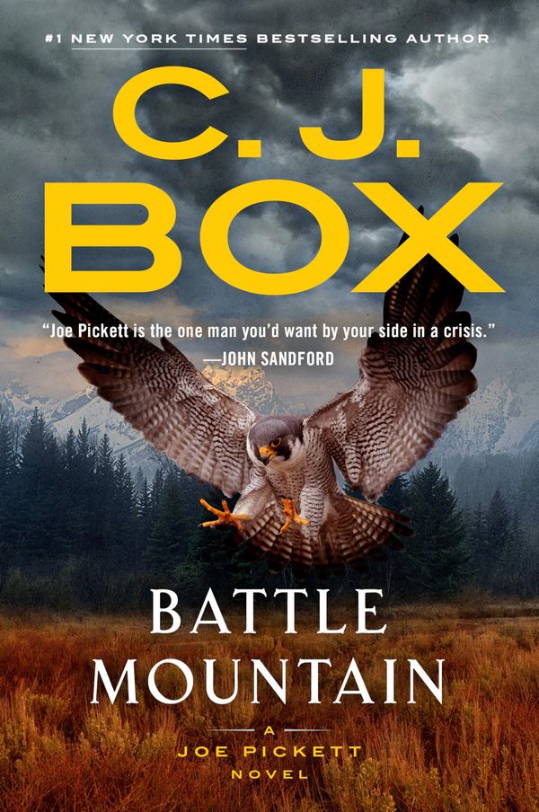 Battle Mountain Book Cover