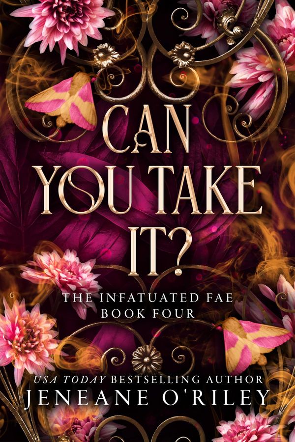 Can You Take It? Book Cover