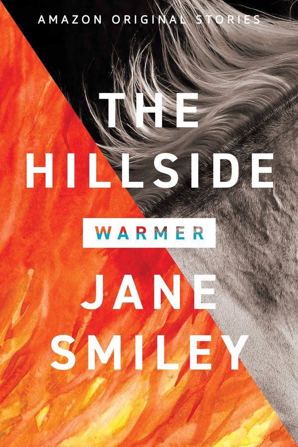 The Hillside Book Cover