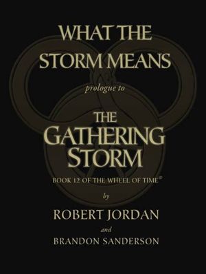 What the Storm Means