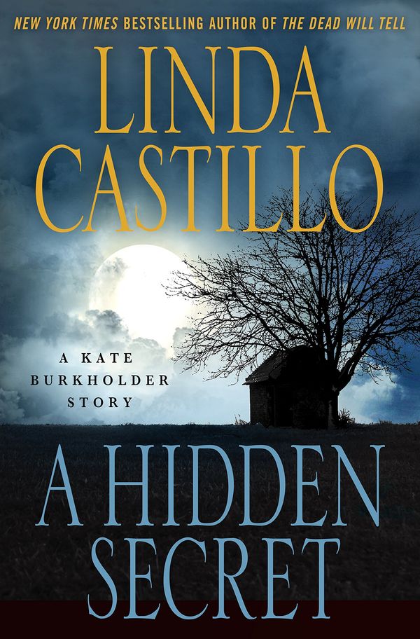 A Hidden Secret Book Cover