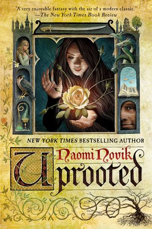 Recent book by Naomi Novik
