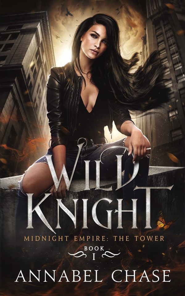 Wild Knight Book Cover