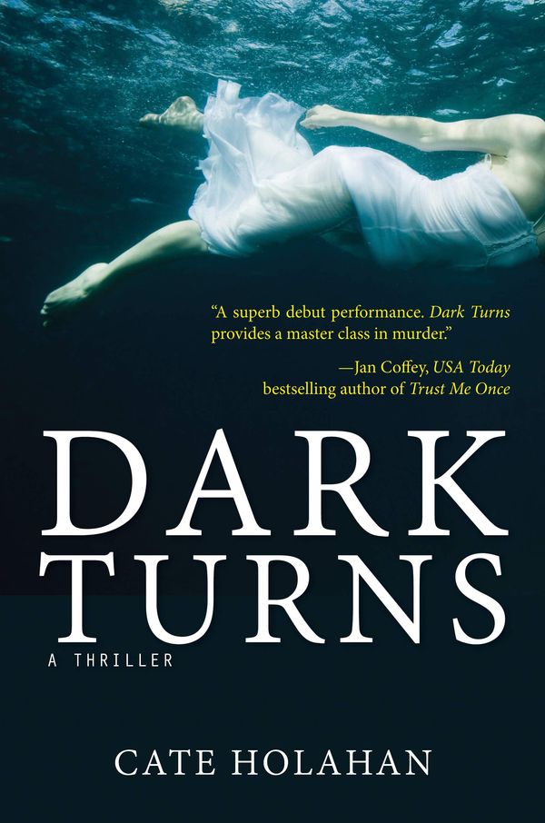 Dark Turns Book Cover