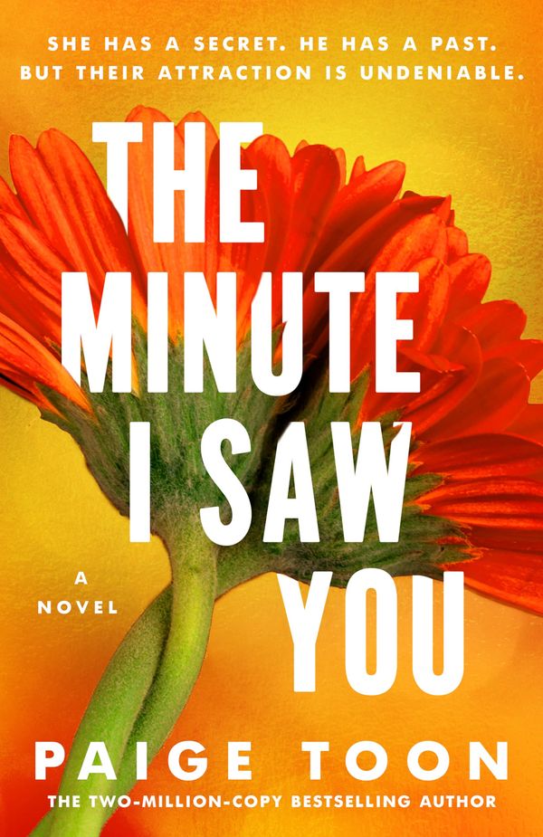 The Minute I Saw You Book Cover
