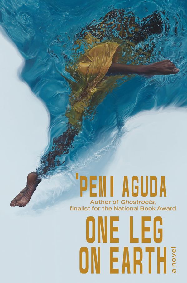 One Leg on Earth Book Cover