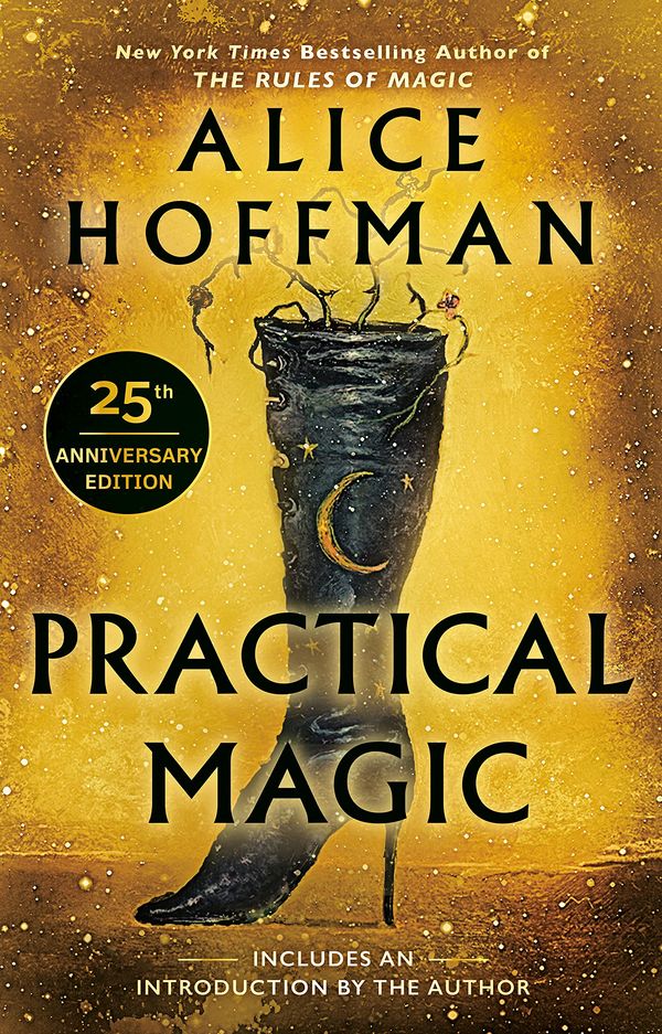 Practical Magic cover