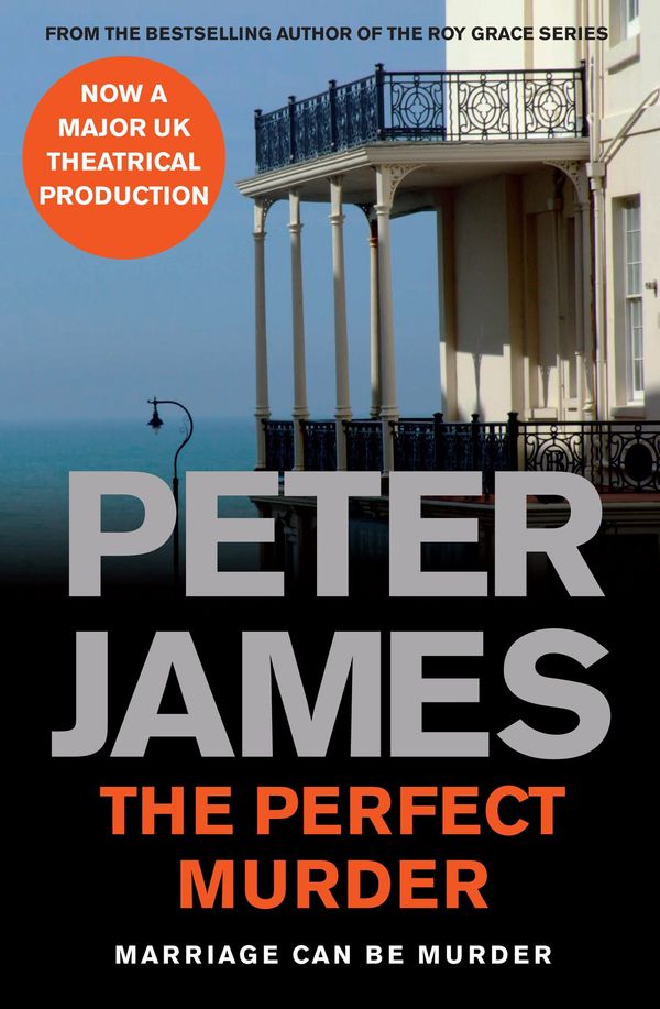 The Perfect Murder Book Cover