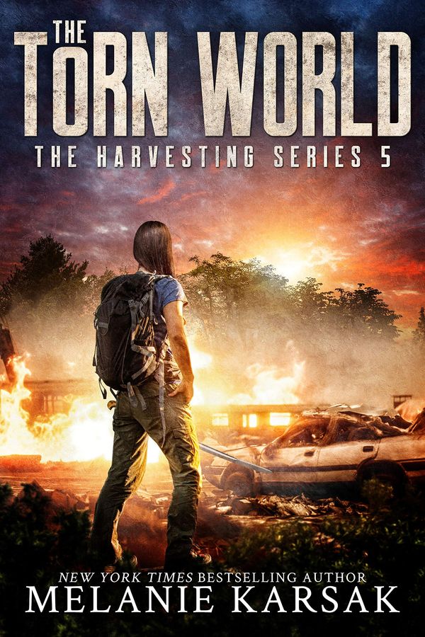 The Torn World Book Cover