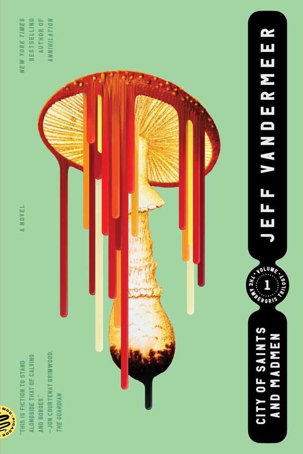 City of Saints and Madmen cover