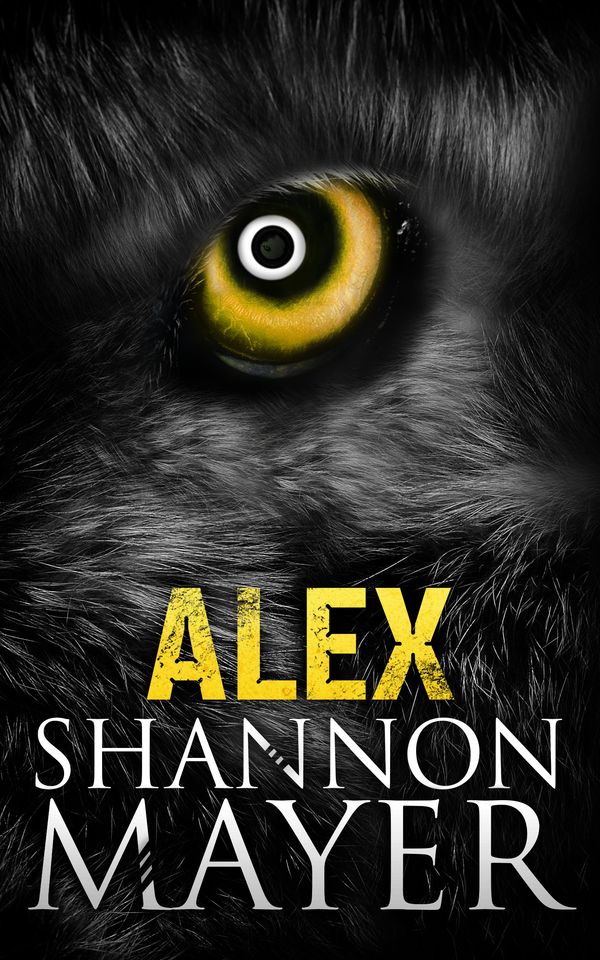 Alex: A Rylee Adamson Short Story Book Cover