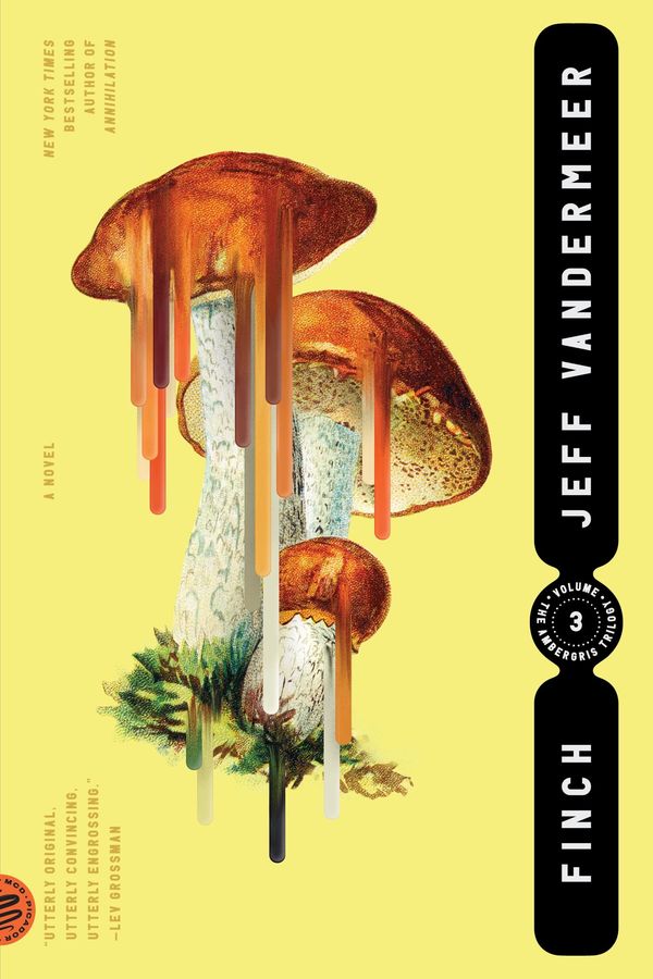 Finch cover