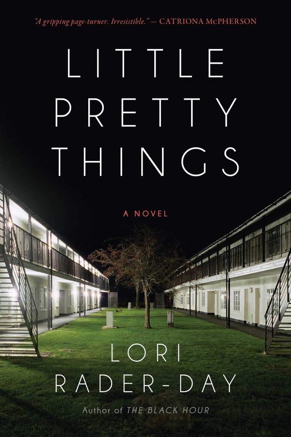 Little Pretty Things Book Cover