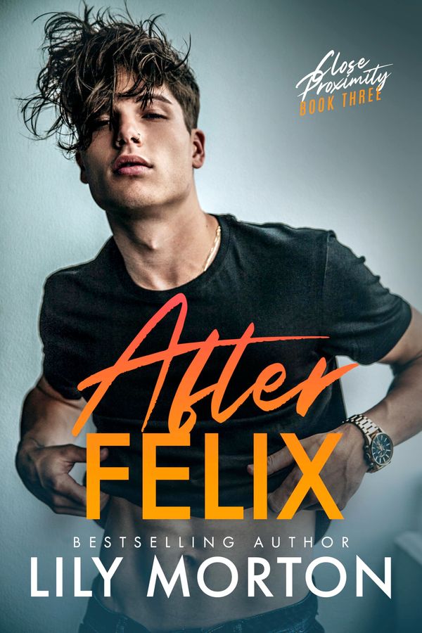 After Felix Book Cover