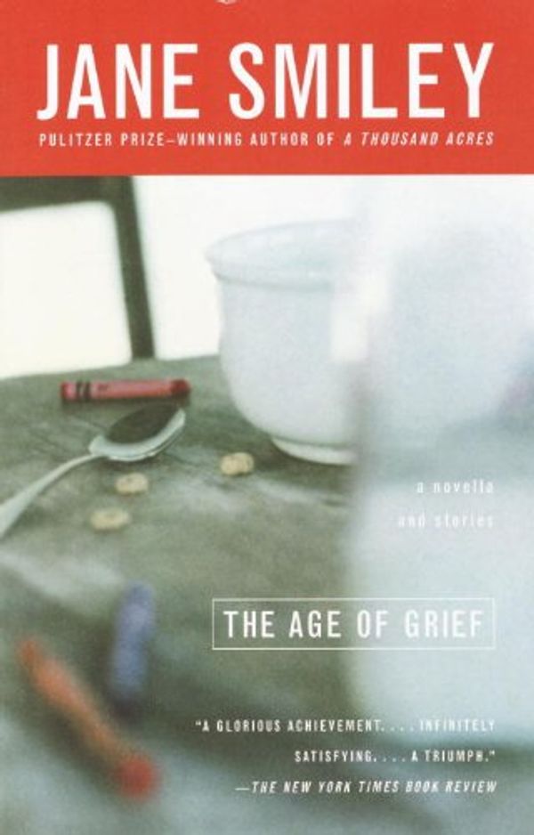The Age of Grief Book Cover