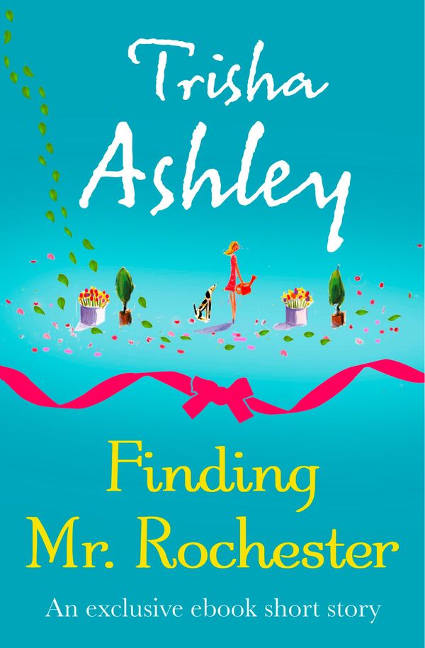 Finding Mr Rochester Book Cover