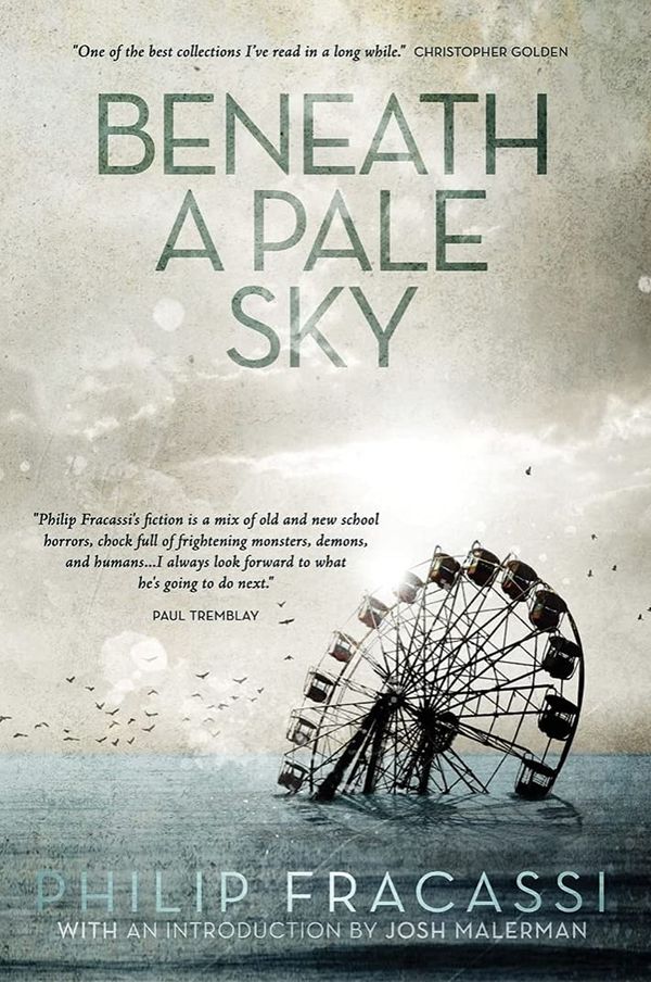 Beneath a Pale Sky Book Cover