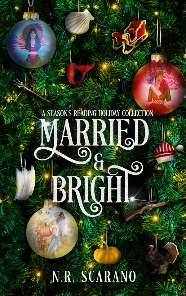 Married & Bright Book Cover