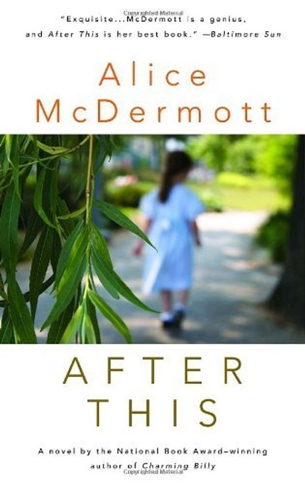After This Book Cover