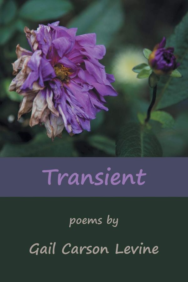 Transient Book Cover
