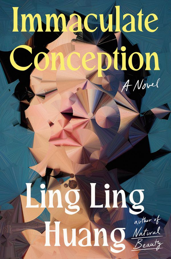 Immaculate Conception Book Cover