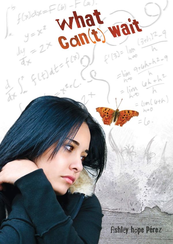 What Can't Wait Book Cover