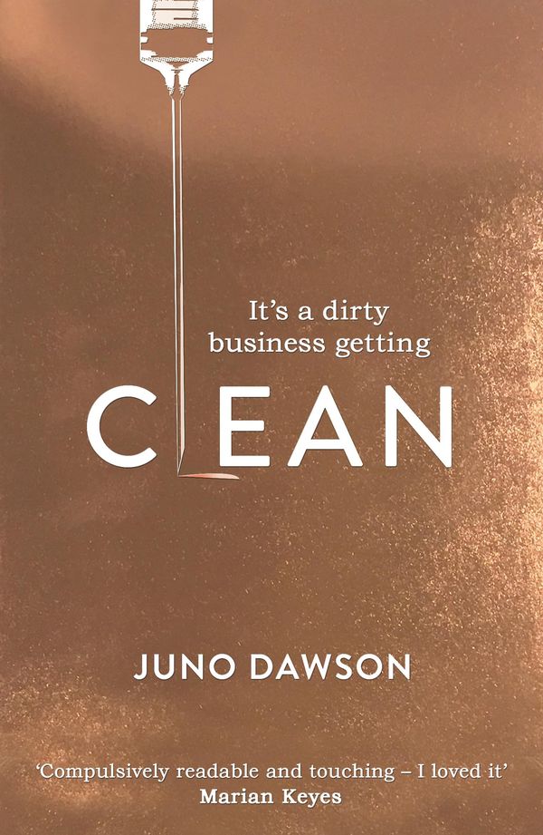 Clean Book Cover
