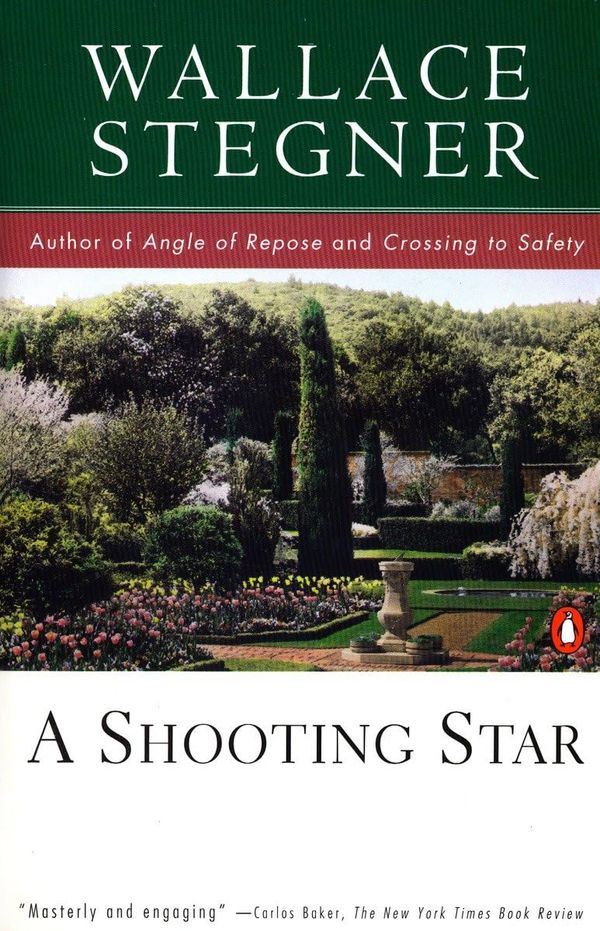 A Shooting Star Book Cover