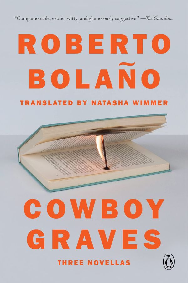 Cowboy Graves Book Cover