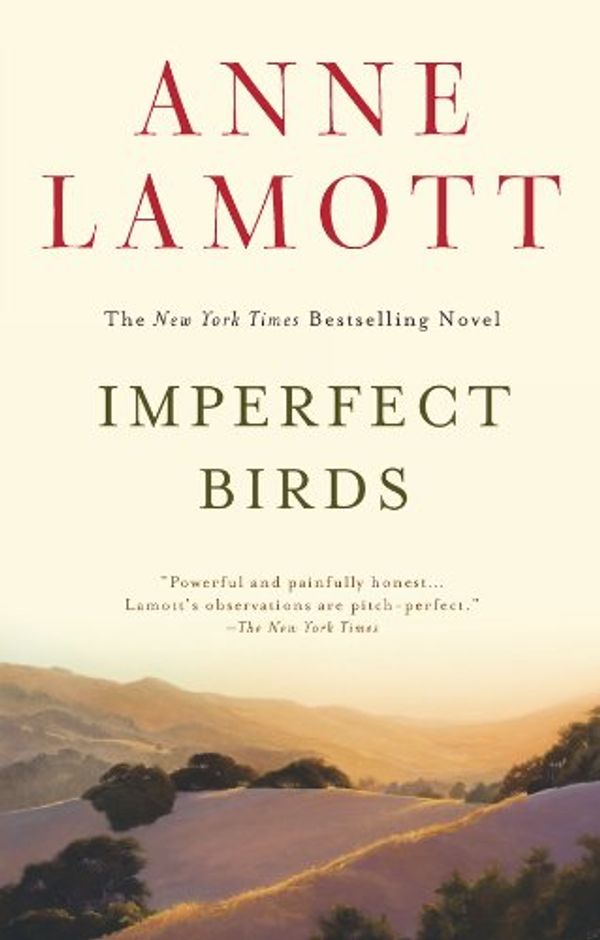 Imperfect Birds Book Cover