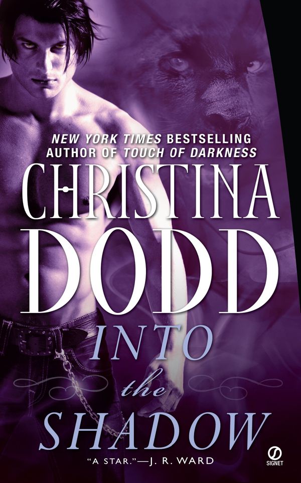 Into the Shadow Book Cover