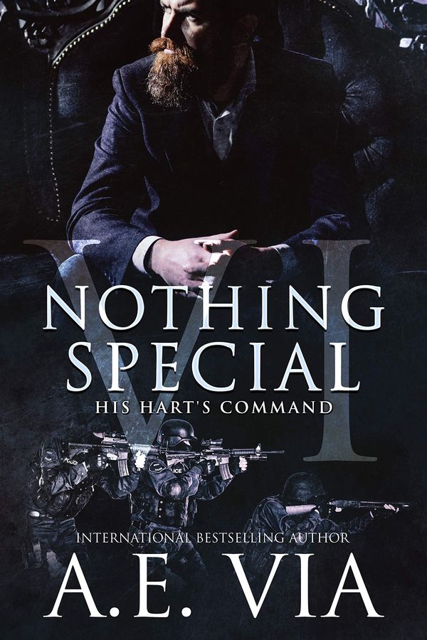Nothing Special VI Book Cover