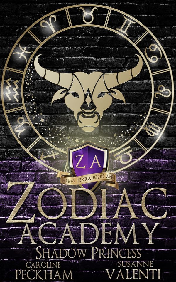 Zodiac Academy 4: Shadow Princess cover
