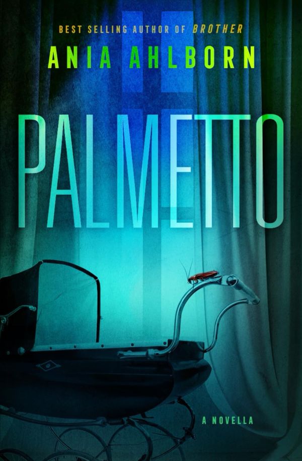 Palmetto Book Cover