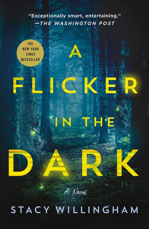 A Flicker in the Dark Book Cover