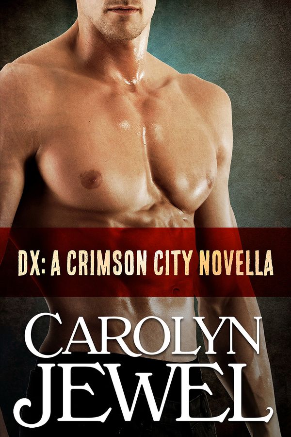 DX Book Cover