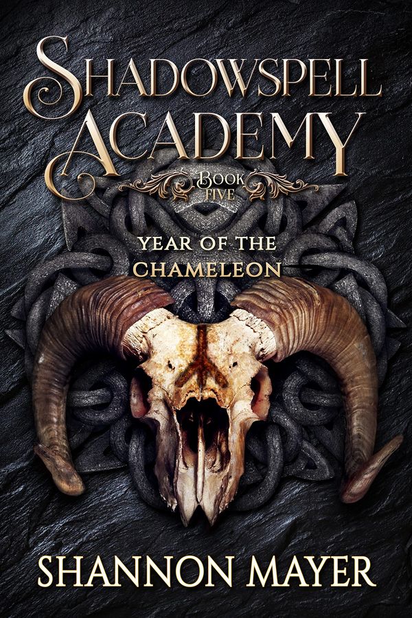 Year of the Chameleon Book 2 Book Cover