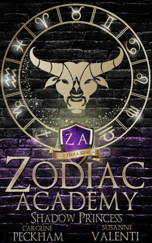 Zodiac Academy 4: Shadow Princess