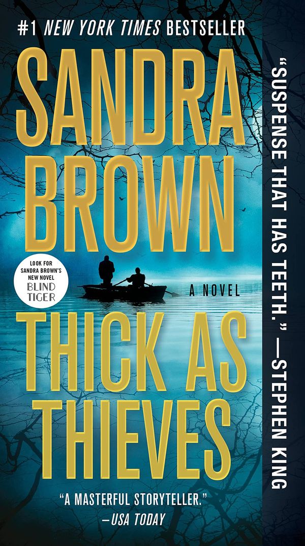 Thick as Thieves Book Cover