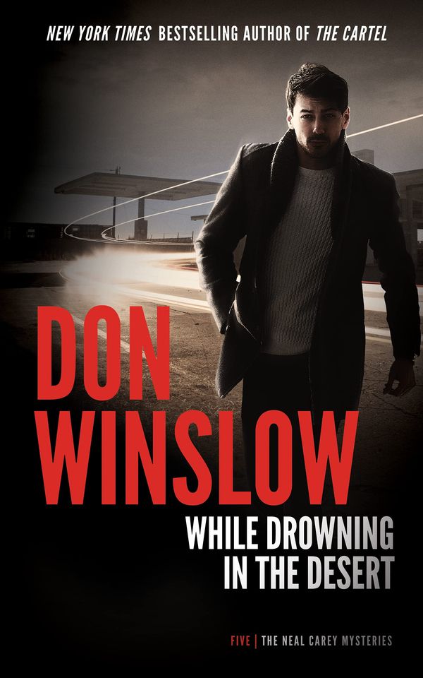 While Drowning in the Desert Book Cover