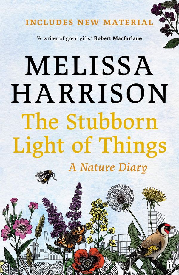 The Stubborn Light of Things Book Cover