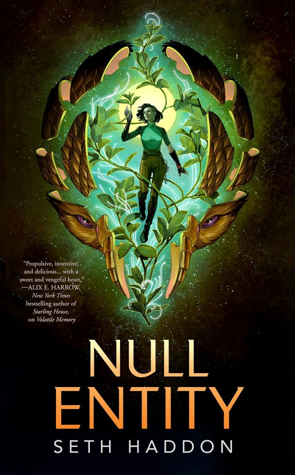 Null Entity cover
