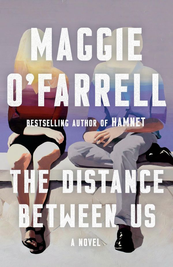 The Distance Between Us Book Cover